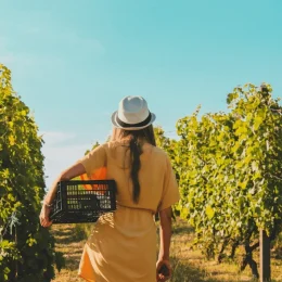 Les événements pulpés de l’été