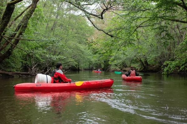 Les meilleures activités nautiques à faire en Gironde