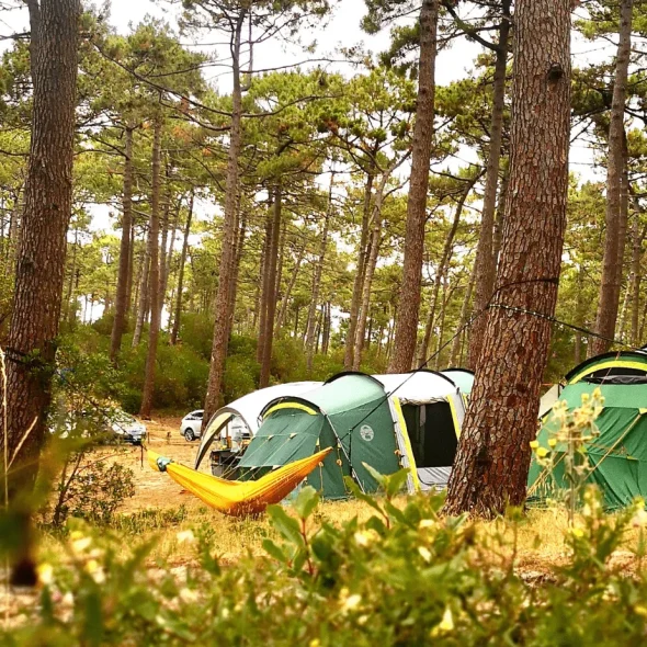 Que faire à la Dune du Pilat ?