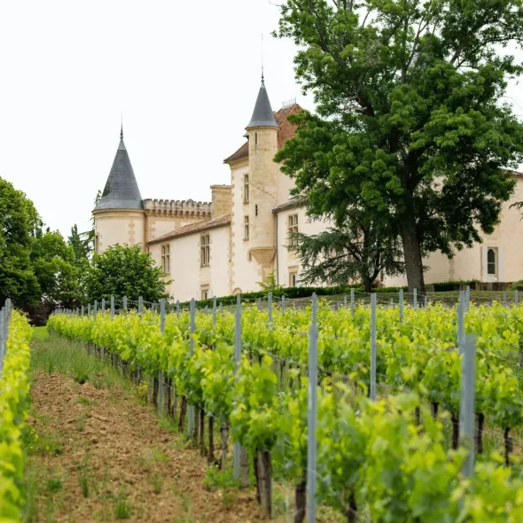 Que faire à Arcachon ?