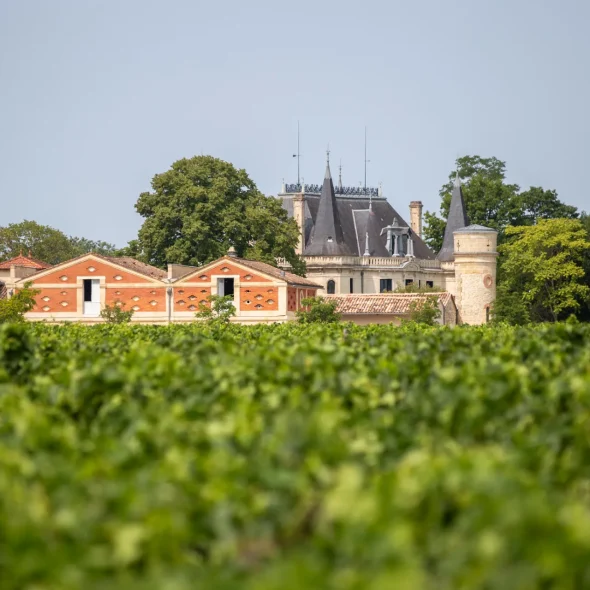 Campings au coeur des vignobles