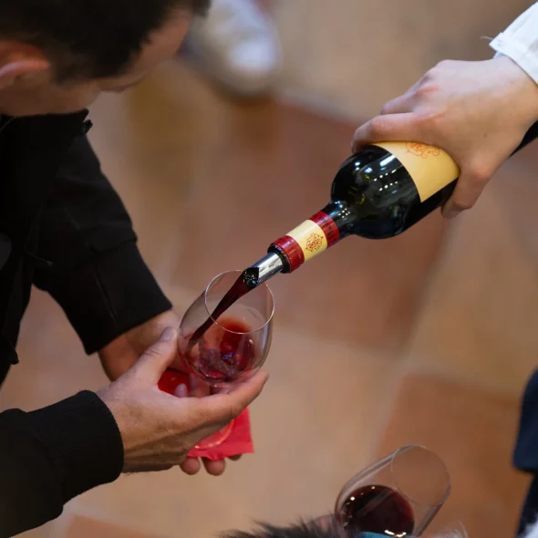 Campings au coeur des vignobles