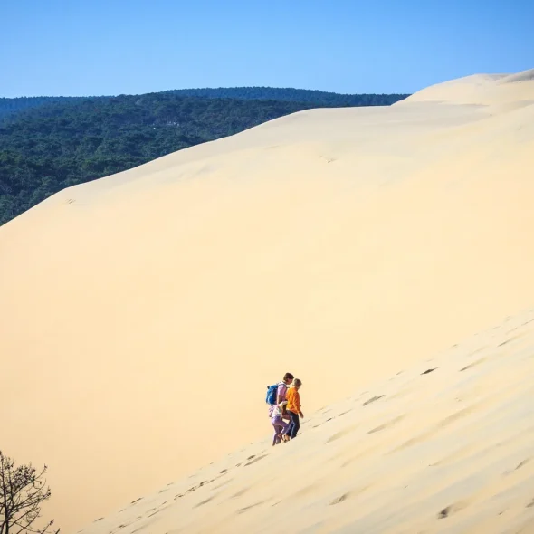 Que faire à la Dune du Pilat ?