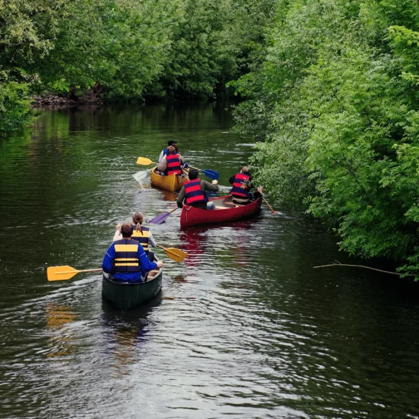 Faire du canoë sur la Leyre