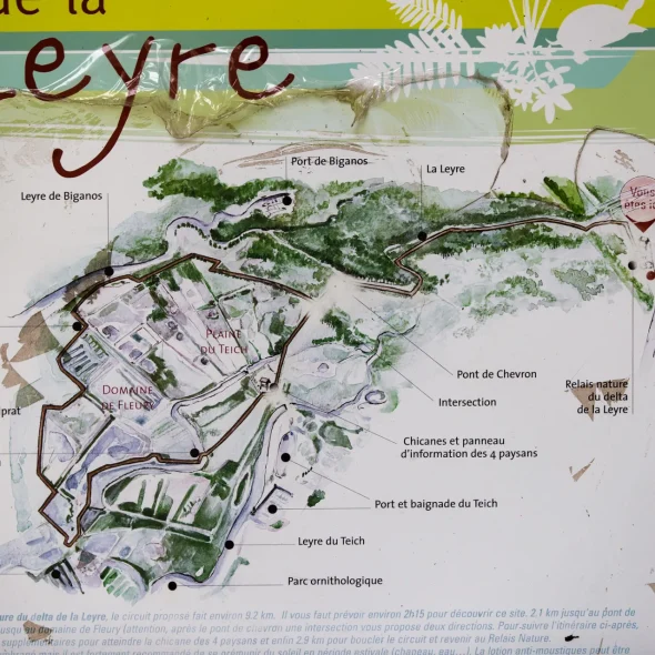 Faire du canoë sur la Leyre