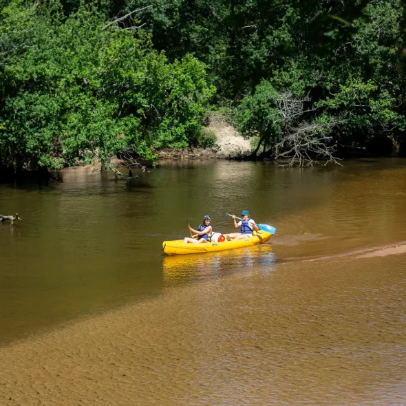 Faire du canoë sur la Leyre