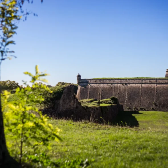 Campings Bourg Blaye Terres d’estuaire