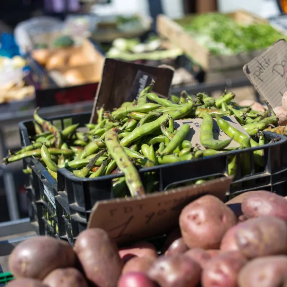 Campings Bourg Blaye Terres d’estuaire