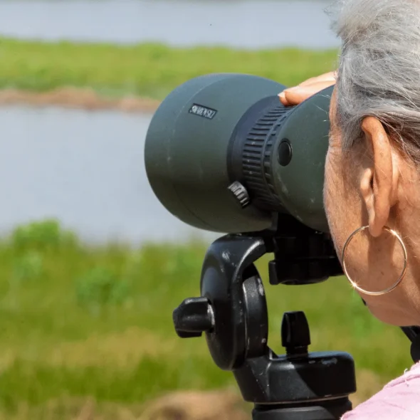 Que faire à la Dune du Pilat ?