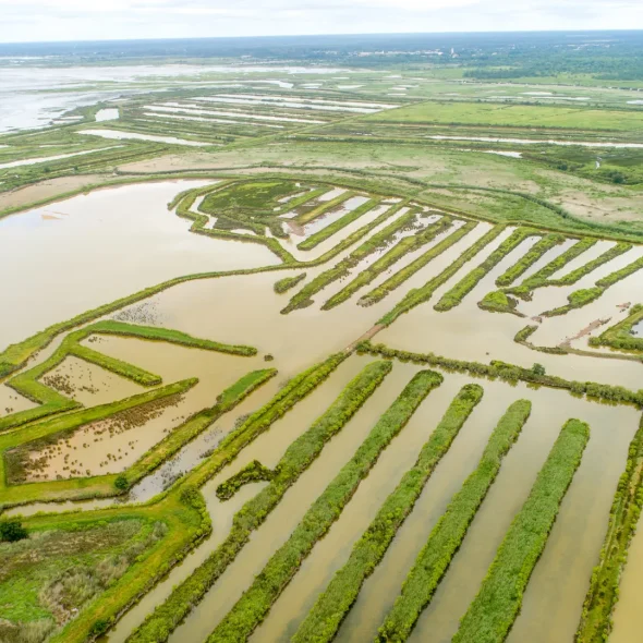 Que faire à Arcachon ?